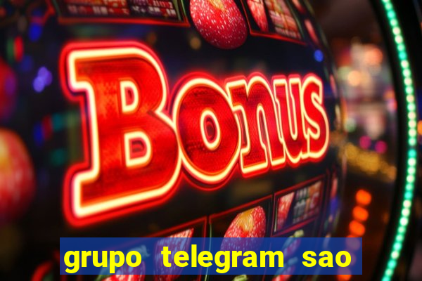 grupo telegram sao jose do rio preto